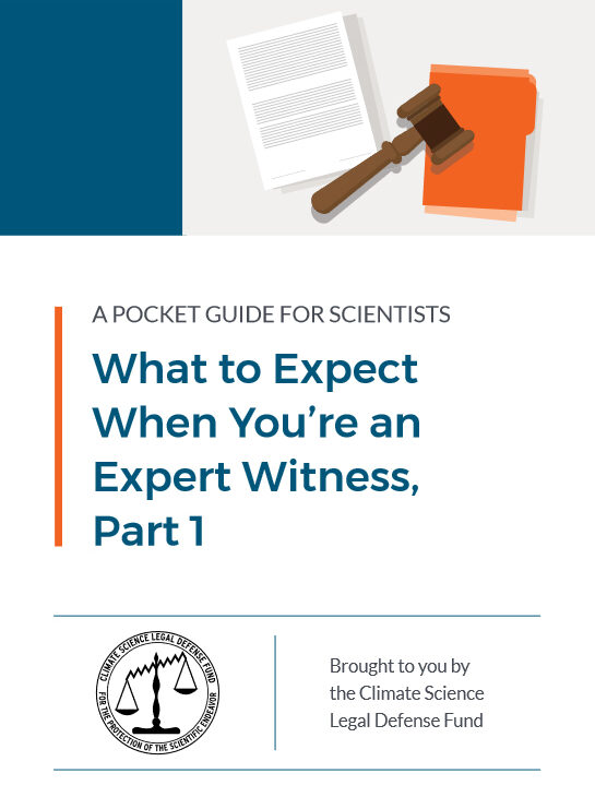 What to Expect When You're an Expert Witness, Part 1