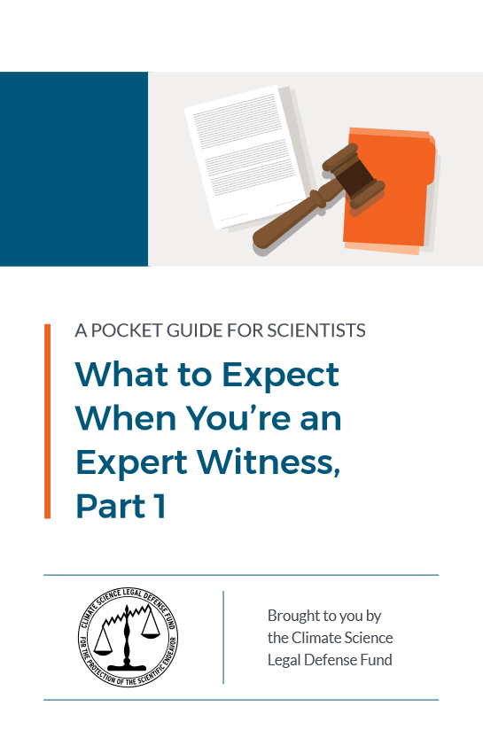 What to Expect When You're an Expert Witness, Part 1