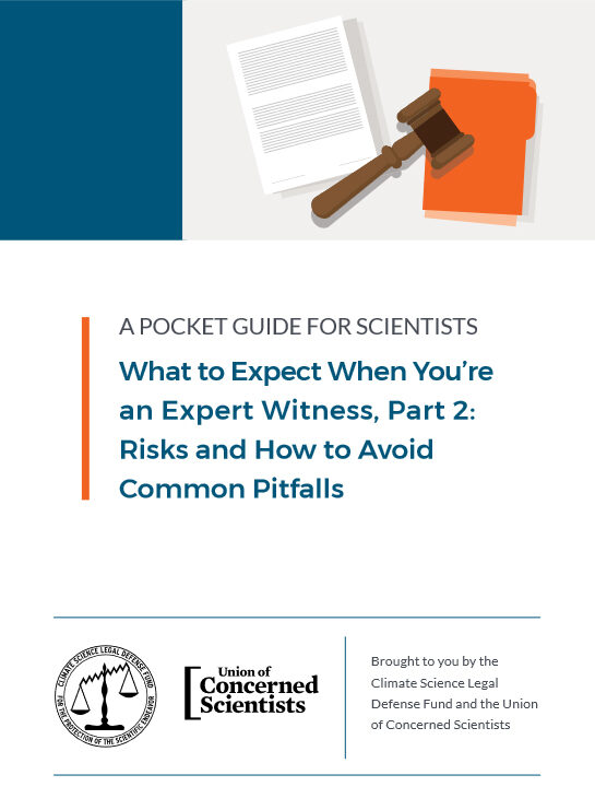 What to Expect When You're an Expert Witness: Part 2