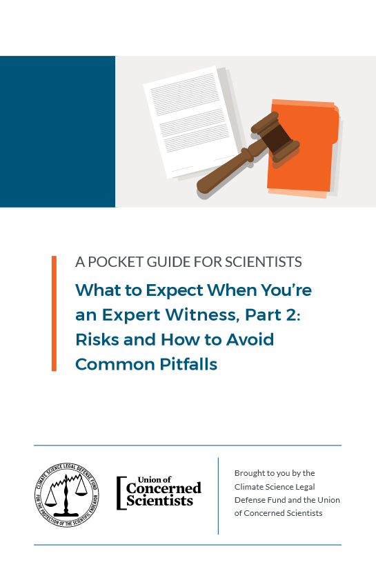 What to Expect When You're an Expert Witness: Part 2